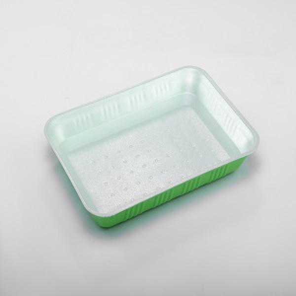 Disposable dishes (absorbent containers) | Iran Exports Companies, Services & Products | IREX